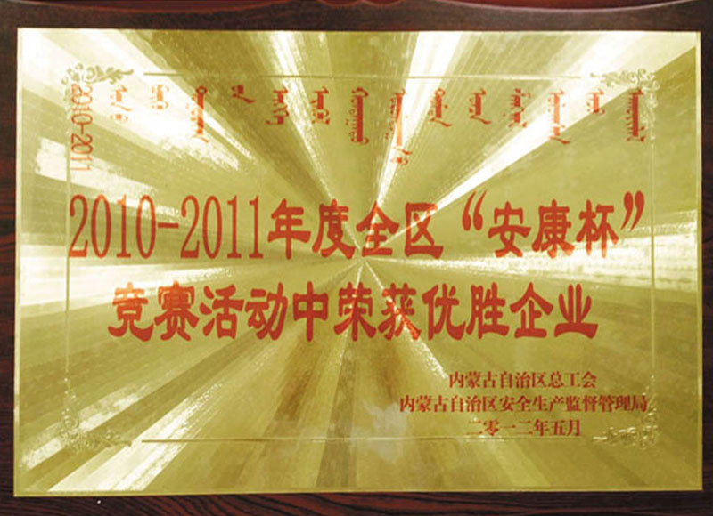 2010自治區優勝企業
