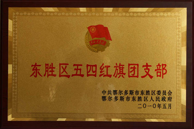 2010東勝區五四紅旗團支部