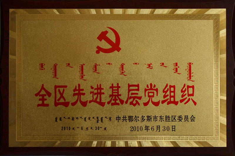 2010東勝區先進基層黨組織