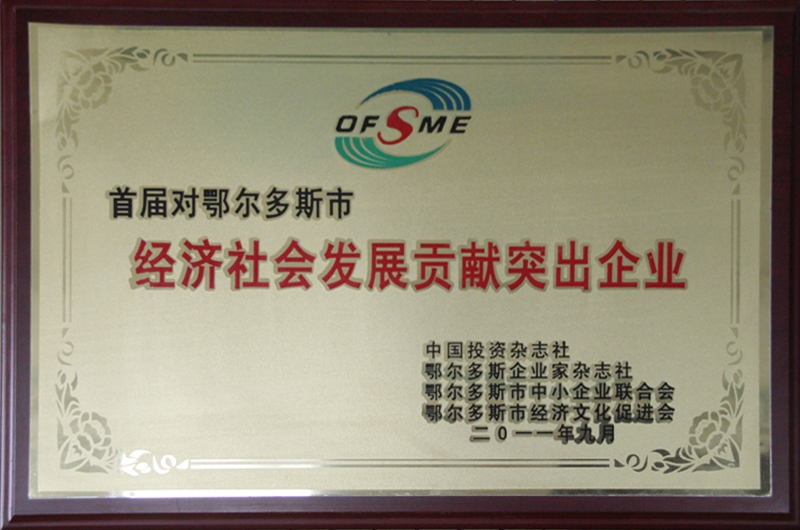 2011鄂市經濟發展貢獻企業